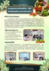 [ผลงานนิสิต] โครงงานสหกิจศึกษาดีเด่น คณะมนุษยศาสตร์ หัวข้อ "การสอนภาษาไทยเรื่องผักสำหรับชาวต่างด้าว" โดยนางสาวเขมิกา สุวรรณไตรย์ นิสิตหลักสูตร ศศ.บ. ภาษาไทย ชั้นปีที่ 4