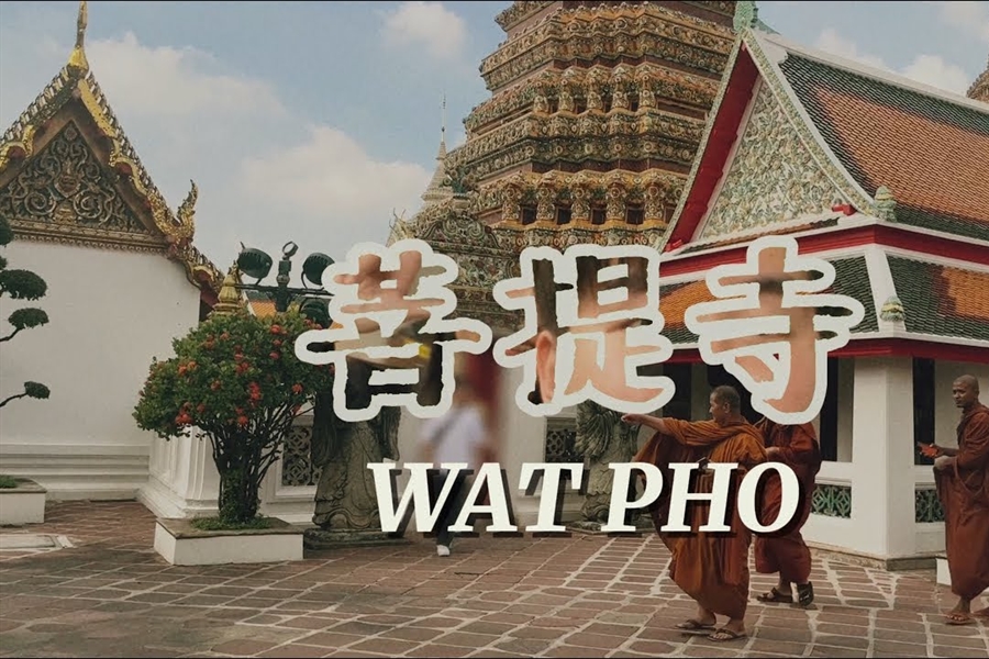 31 มกราคม 2568 เปิดประสบการณ์การท่องเที่ยวอย่างยั่งยืน @ วัดโพธิ์...